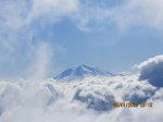 View of Mt. Adams over the clouds